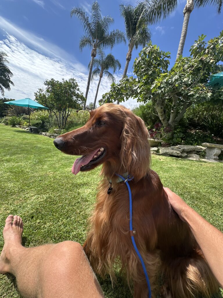 Rosie