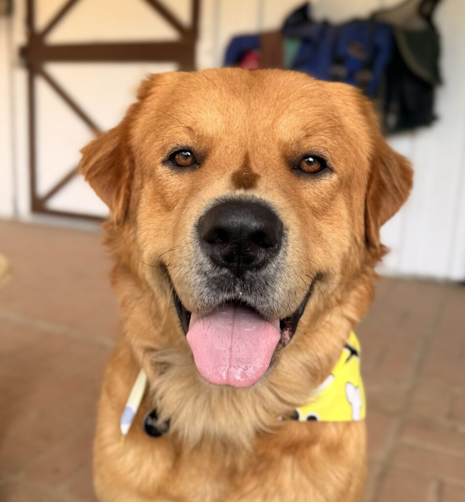 Murphy