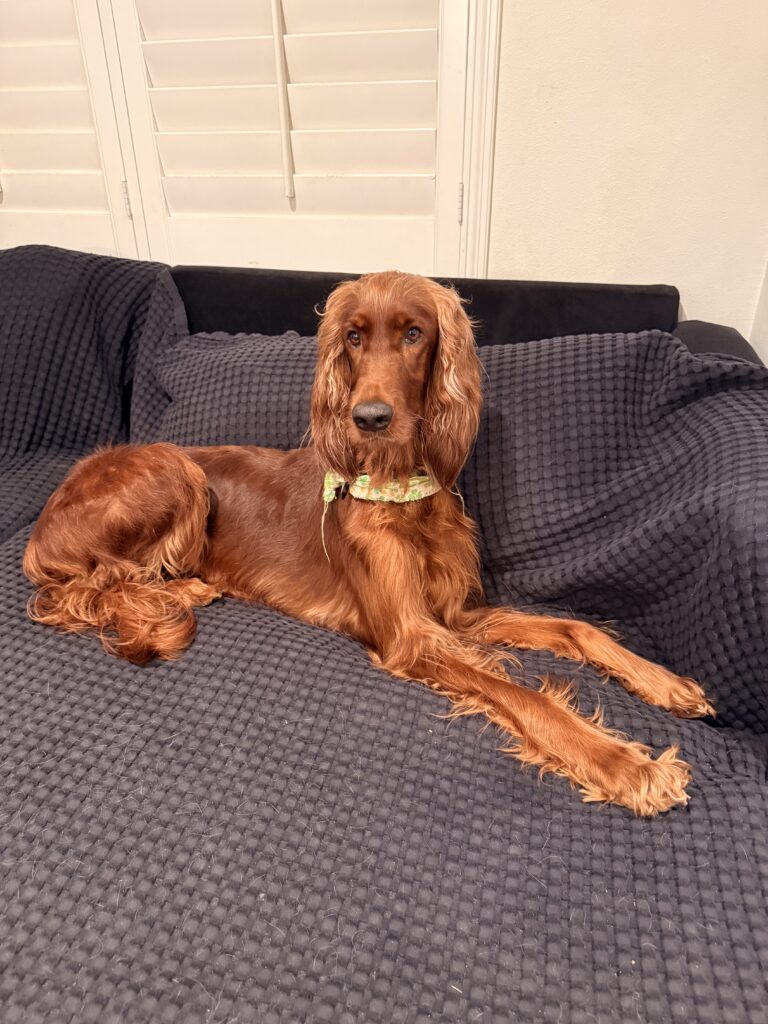 Maggie